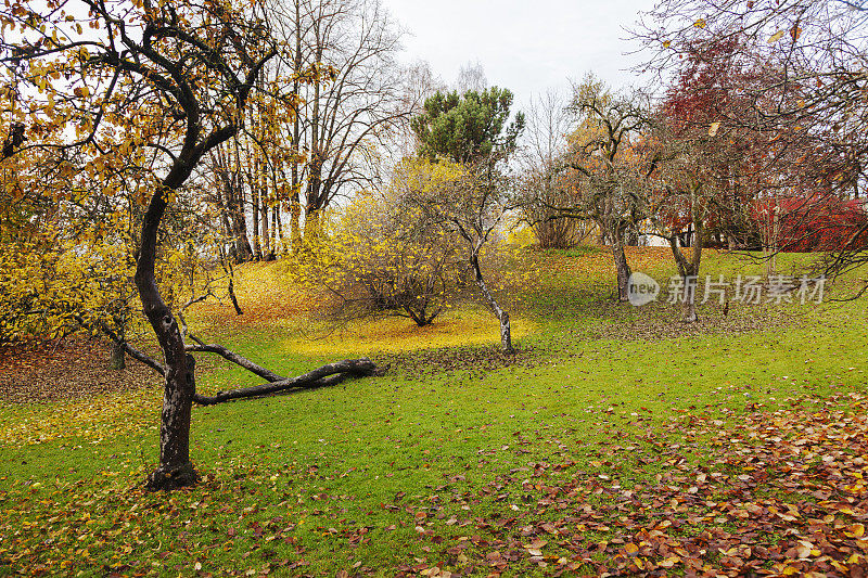 爱德华·蒙克(Edvard Munch)工作室周围花园的秋色。